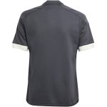 Camiseta Juventus 2023/2024 Third